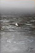 LA MOSCA BIANCA Olio su tela 10 x 15 di TROIA ALESSANDRO Copyrigth – © RIPRODUZIONE VIETATA